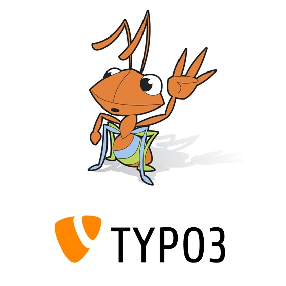 TYPO3 Enterprise CMS